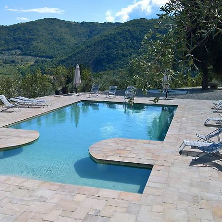 Villa D'Arte Agri Resort Pontassieve Exteriér fotografie